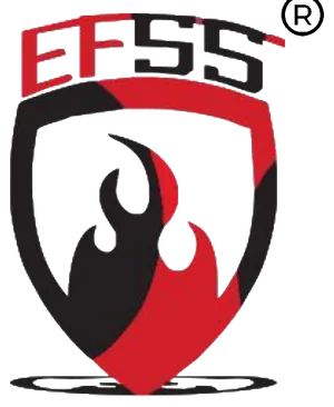 Esteem Fire & Security Services logo